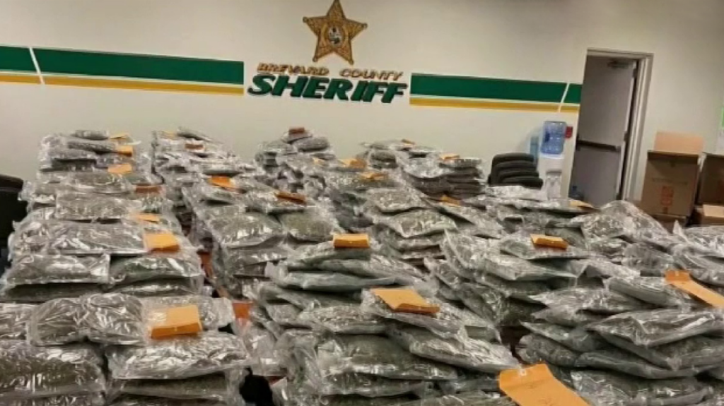 770 lbs of marijuana found in Florida storage