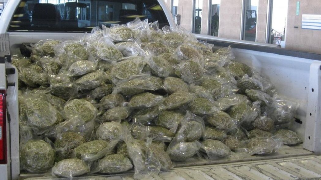 Deputies seek ‘rightful owner’ of 770 pounds of marijuana seized in Florida.