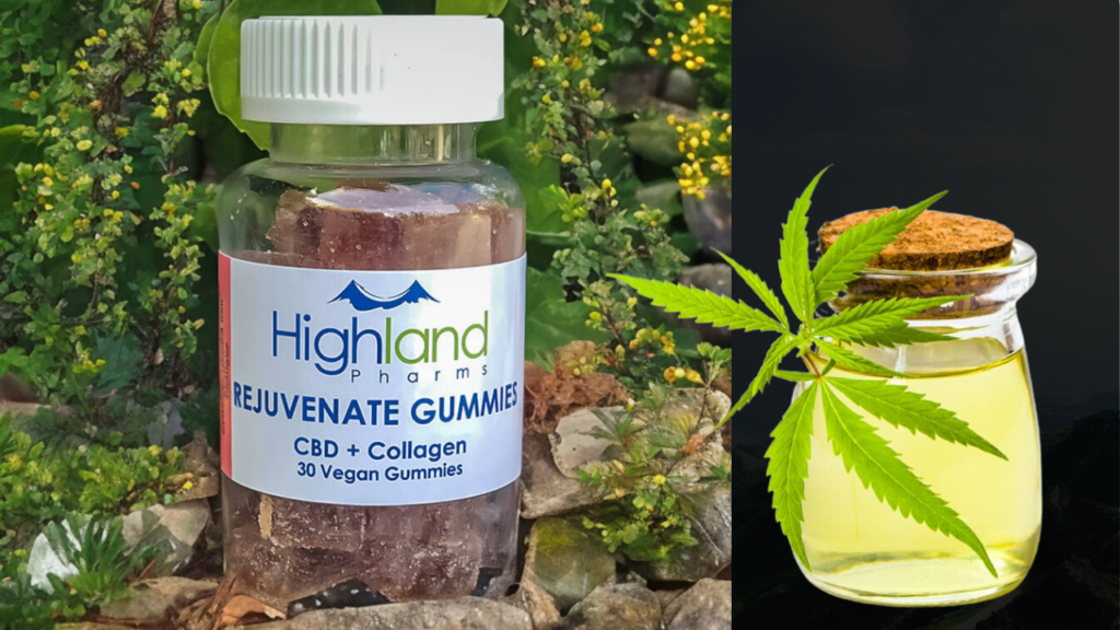 Rejuvenate CBD Gummies Review - A Tasty Delight with CBD and Collagen